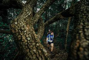 BIB: 
                            <button type="button" onclick="openModal(25697047)" class="btn btn-primary btn-sm float-right btn-popup" data-toggle="modal" data-target=".modal-high-quality">
                        <i class="fas fa-shopping-cart"></i> Add to Cart
                    </button>
                                            <button type="button" onclick="isThisMe(25697047, true)" class="btn btn-success btn-sm float-right btn-popup btn-isme hidden" data-toggle="tooltip" data-placement="bottom" title="นี่คือรูปของคุณใช่ไหม คลิกที่นี่เพื่อเอาเข้าอัลบั้ม">
                        <i class="fas fa-plus"></i> Add to album
                    </button>
                    <button type="button" onclick="isThisMe(25697047, false)" class="btn btn-warning btn-sm float-right btn-popup btn-isnotme hidden">
                        <i class="fas fa-ban"></i> Remove from album
                    </button>